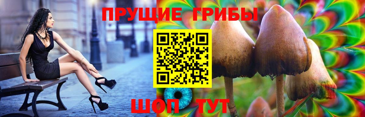 Нефтекумск  Псилоцибиновые грибы мухоморы  Вход с VPN 